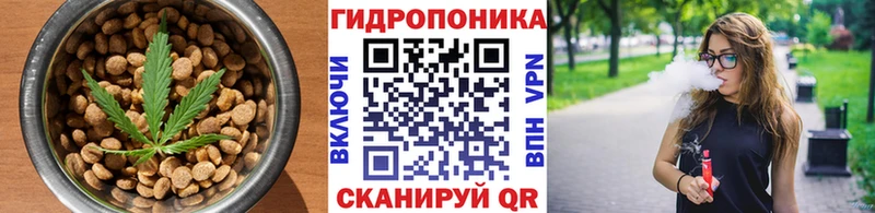 Еда ТГК марихуана  Сокол 