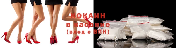 индика Алексеевка