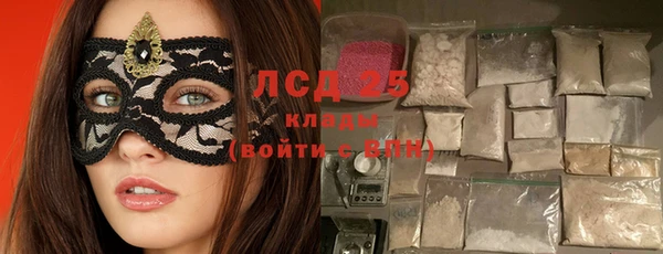 стаф Сосновка