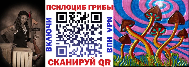 что такое   Сокол  Галлюциногенные грибы прущие грибы 